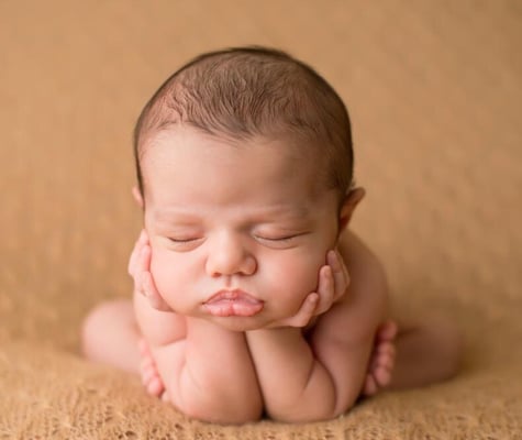 Newborn photo shoot.