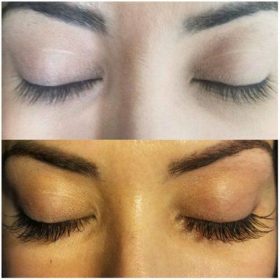 Lash Extensions