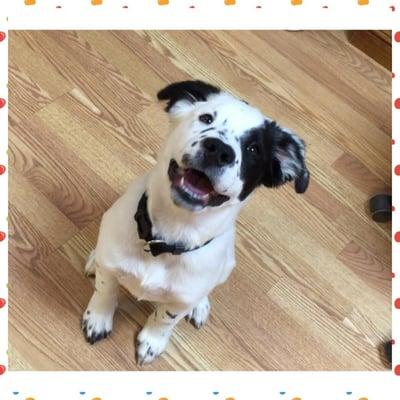 Puppy Colton was awesome for his first bath with us! Look at that smile!