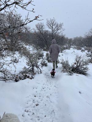 North Ogden Benches - Hiking!