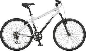 Mountain Bike Rental