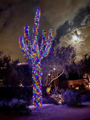 Large Saguaro light wrap