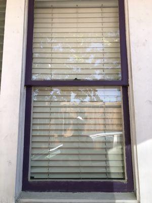 Plum Alley Windowcraft