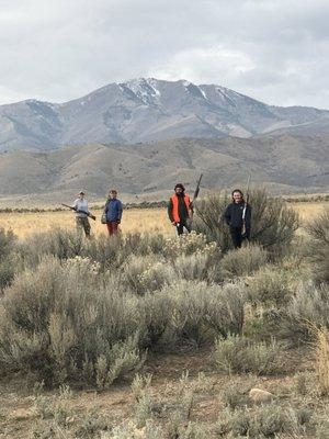 Pheasant hunt