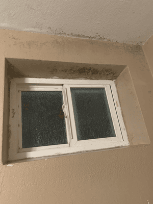 BLACK MOLD IN THE BATHROOM