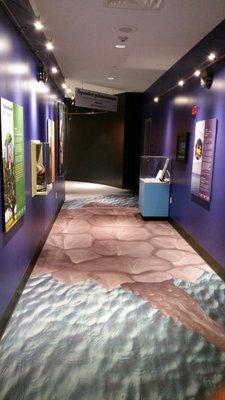 Creation Story Exhibit