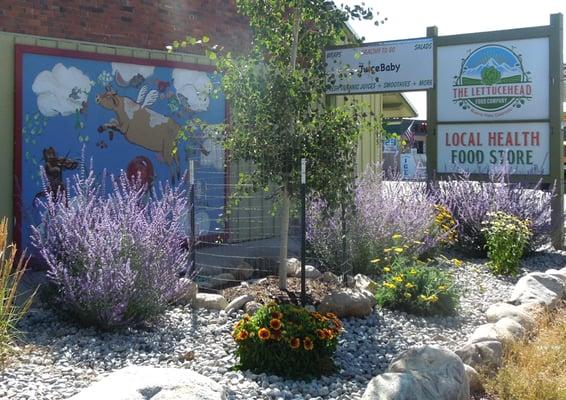 Formally Nature's Pantry, The Lettucehead Food Company is still locally owned and operated by Tom!