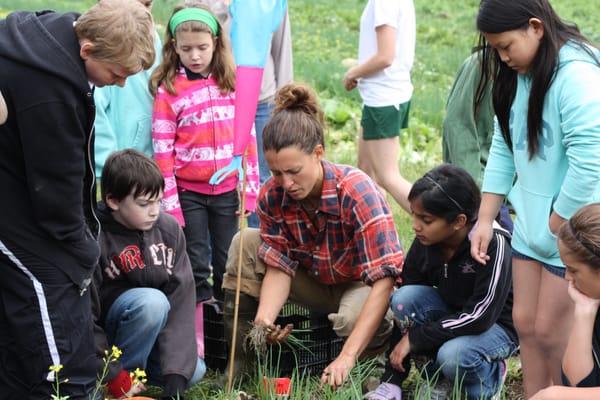 Farmer Brittany helps the 4th grade students harvest vegetables from their own garden plot at the farm.