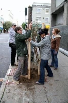 Saturday Volunteer Tree Planting