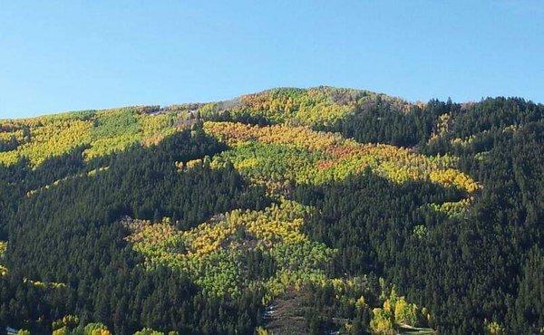 Colorful Colorado. Tis a privilege!