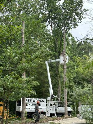 Awesome job removing dangerous trees from around our house.