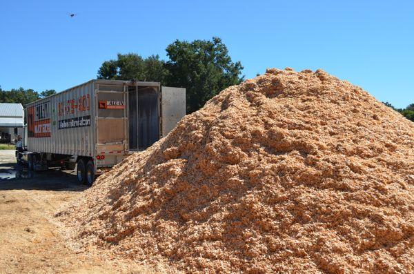 Bulk delivery of horse beddings for stalls. Options include large flake, small mini flakes, fine shavings, and custom blends!