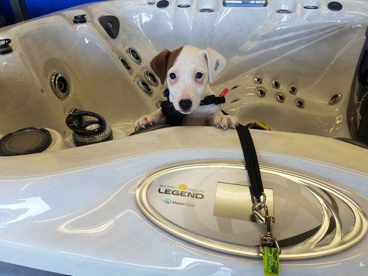 Oliver is certain that this is the absolute nicest 7' hot tub ever made.