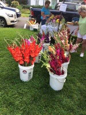 Gorgeous flowers at the Saturday market in Hamilton!