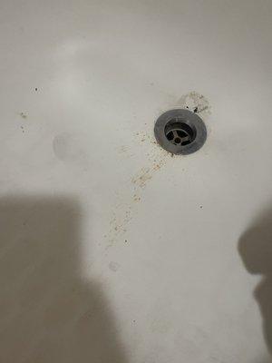 Not cleaned tub