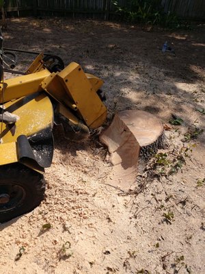 Start of grinding a stump