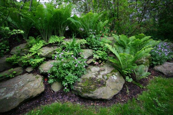 Boulders with woodland planting