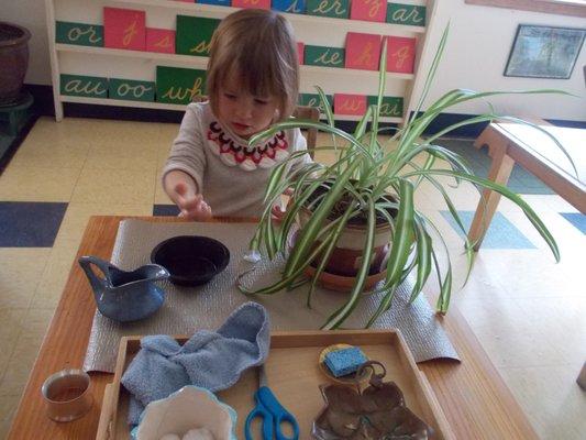 Primary work - Plant care, and fine motor skill