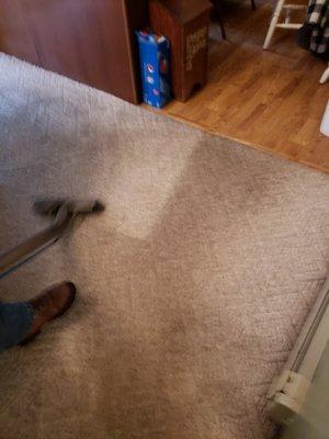 Carpet Cleaning