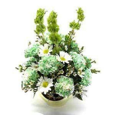 A fun St.Patrick's day arrangement made with green carnations, bells of Ireland, and white daisies.