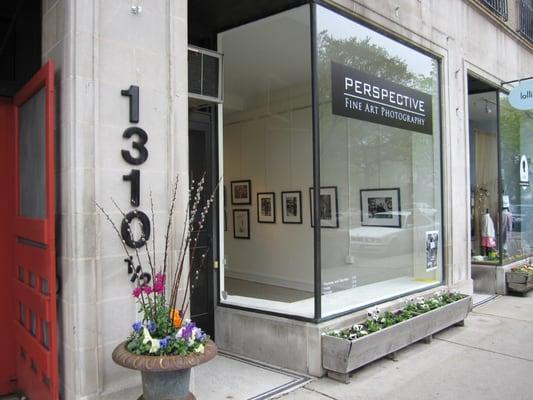 Perspective Gallery