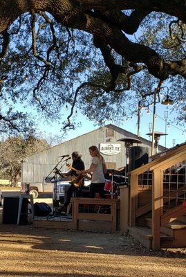 Live music under the big oak tree