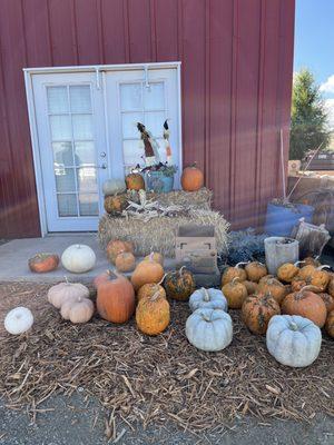 Fall 2023 pumpkin display on Oct. 22, 2023