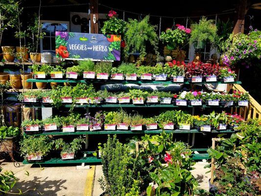 The garden center at TAYLOR FOSTER HARDWARE in Manchester, Georgia.