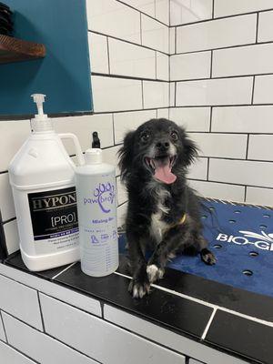 Self service dog Wash