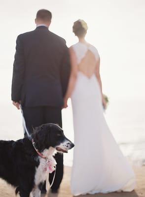 Wedding Session in Sunset Cliffs