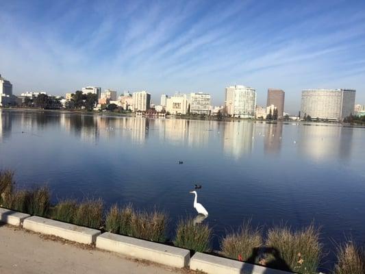 View of downtown Oakland across Lake Merritt.