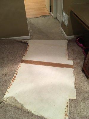 Entire area of carpet and carpet cushion ruined by J.J Agnello drain tube reroute during A/C replacement.