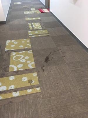 Another lovely carpet stain. The trash rooms are bad too.