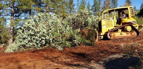 Land cleanup