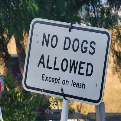 No dogs allowed, except on leash