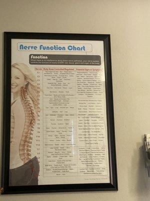 Dodie Chiropractic