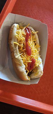 Chili cheese hot dog with onions!