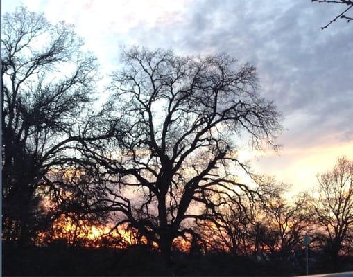 Another gorgeous Placerville sunset