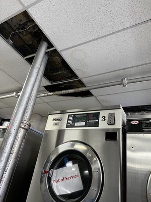 Concourse Laundromat