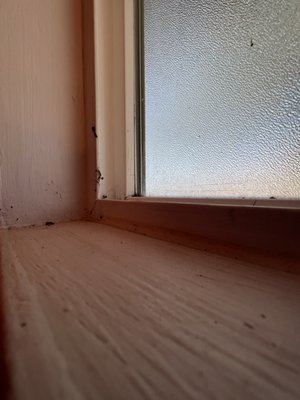 The window seal in the restroom are still dirty and have cobwebs.