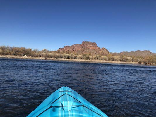 Kayaking on Lower Salt River