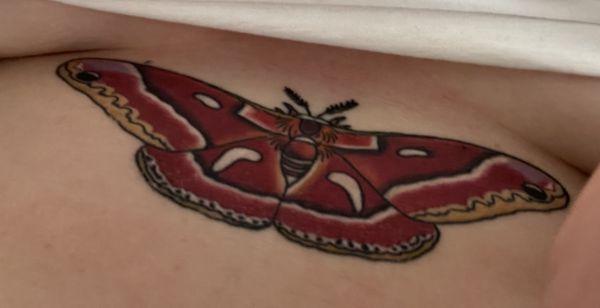 Ceanothus Silk moth by Micah Caudle! I love it! It's gorgeous