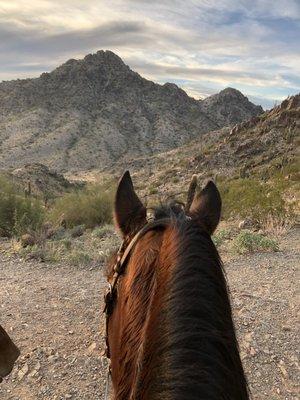 Western Ranchman Store