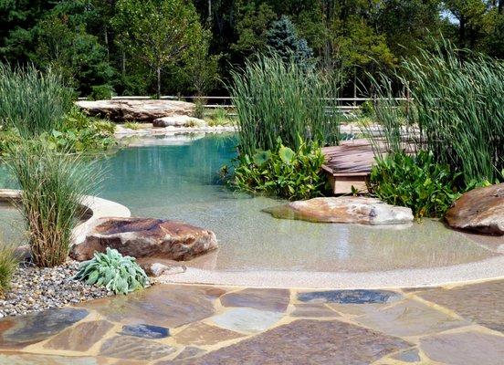 A Natural Swimming Pool - Plants Instead of Chemicals