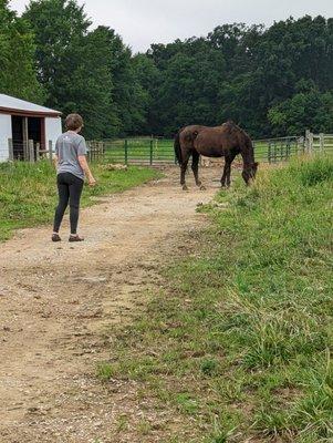 Learn Herd Behavior
Serenity's Mystic and Angele