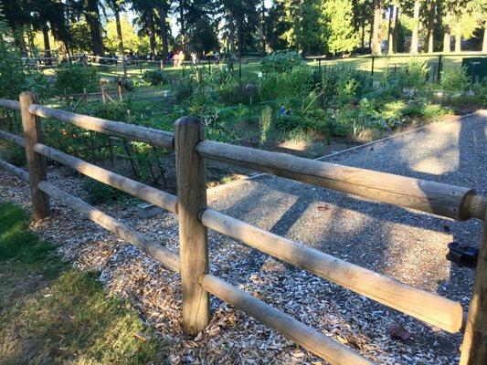 Community Garden