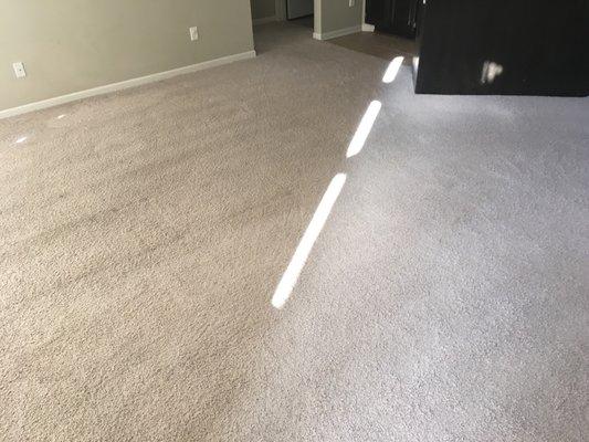 After cleaning picture of customer's carpet.