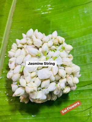 Jasmine String | String Flowers