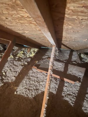 Attic exclusion