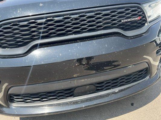 Scratches on bumper and bugs splats